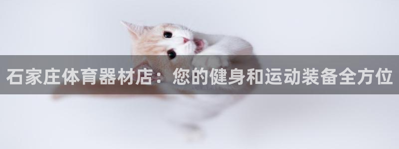 富联申购上市价格预测：石家庄体育器材店：您的健身和运