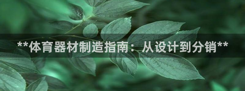 富联娱乐戚少风：**体育器材制造指南：从设计到分销*