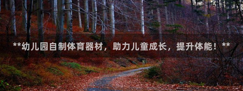 富联官网注册：**幼儿园自制体育器材，助力儿童成长，