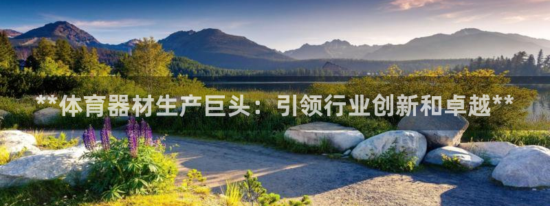 富联申购上市价格预测最新：**体育器材生产巨头：引领