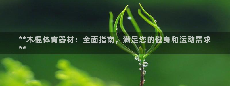 富联平台用户登陆不上：**木棍体育器材：全面指南，满