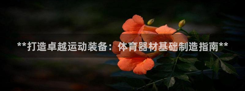 富联娱乐老板是哪里人：**打造卓越运动装备：体育器材