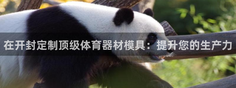 富联娱乐服务站：在开封定制顶级体育器材模具：提升您的