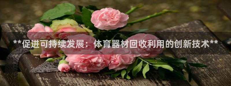 富联娱乐负责人：**促进可持续发展：体育器材回收利用