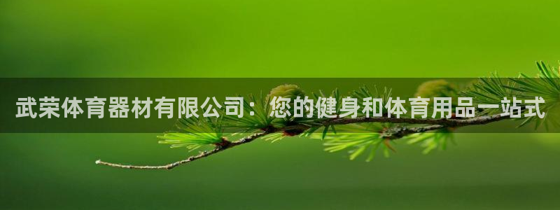 富联平台寇 37oo735：武荣体育器材有限公司：您