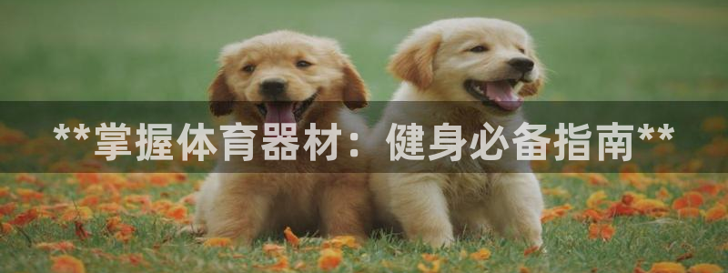 富联娱乐服务站怎么样：**掌握体育器材：健身必备指南