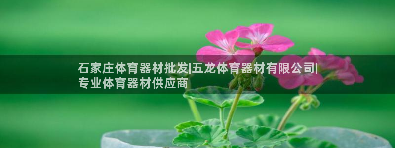 富联官网授权店铺查询：石家庄体育器材批发|五龙体育器