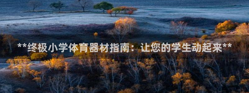 富联官方网站入口查询电话：**终极小学体育器材指南：