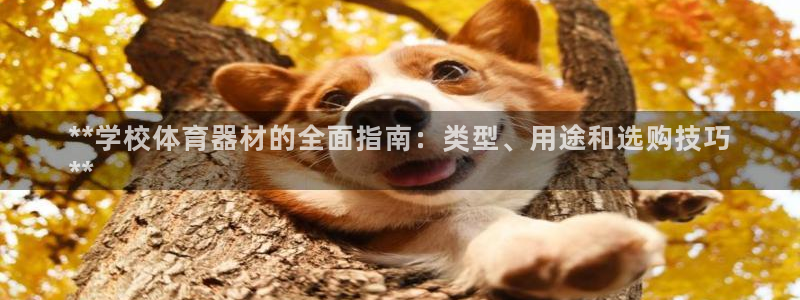 富联娱乐股东：**学校体育器材的全面指南：类型、用途
