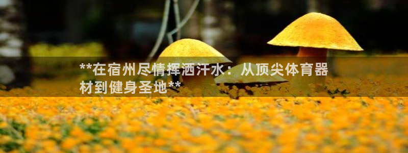 富联平台官网：**在宿州尽情挥洒汗水：从顶尖体育器
