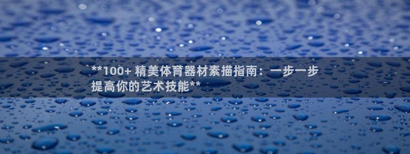 富联食品：**100+ 精美体育器材素描指南：一步一