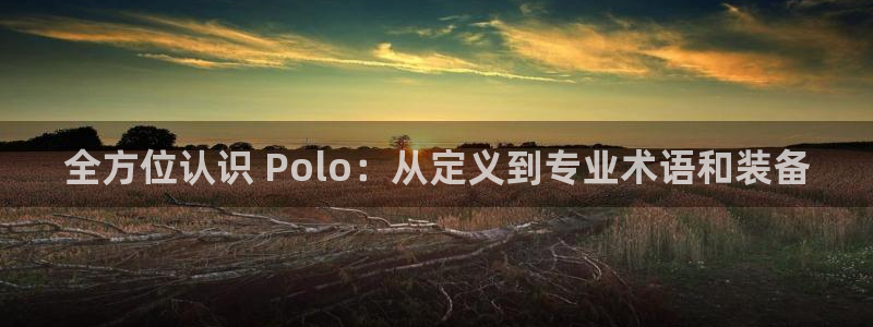 富联平台先 37oo735：全方位认识 Polo：从