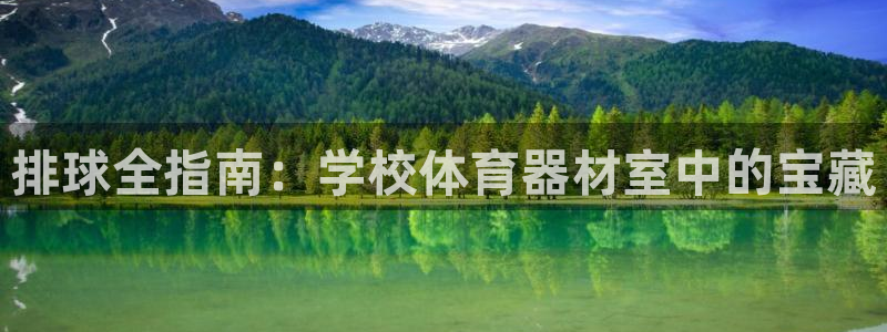 富联官网丁6.7.5.1.3.8：排球全指南：学校体