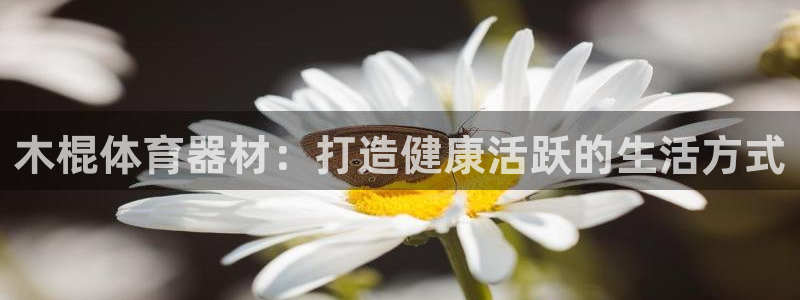 富联平台主管代理：木棍体育器材：打造健康活跃的生活方