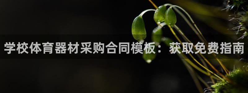 富联平台登录：学校体育器材采购合同模板：获取免费指南