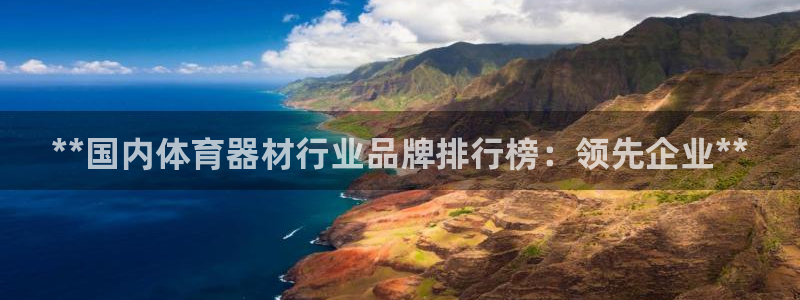 富联娱乐是什么时候开的股票：**国内体育器材行业品牌