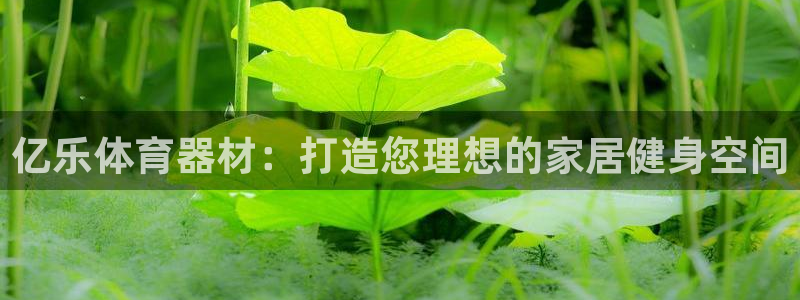 富联官方网站首页入口：亿乐体育器材：打造您理想的家居