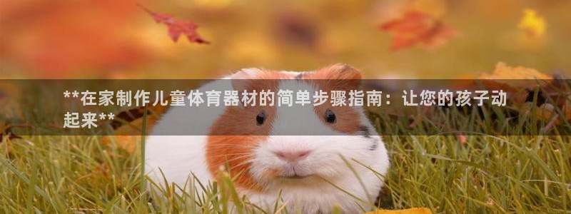 富联娱乐登陆：**在家制作儿童体育器材的简单步骤指南