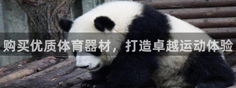 富联什么意思：购买优质体育器材，打造卓越运动体验