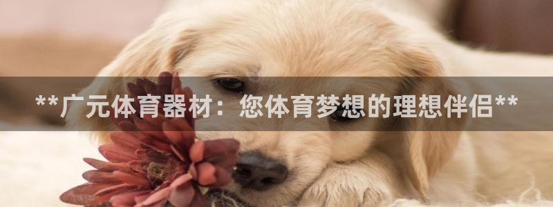 富联娱乐平台开户条件是什么：**广元体育器材：您体育