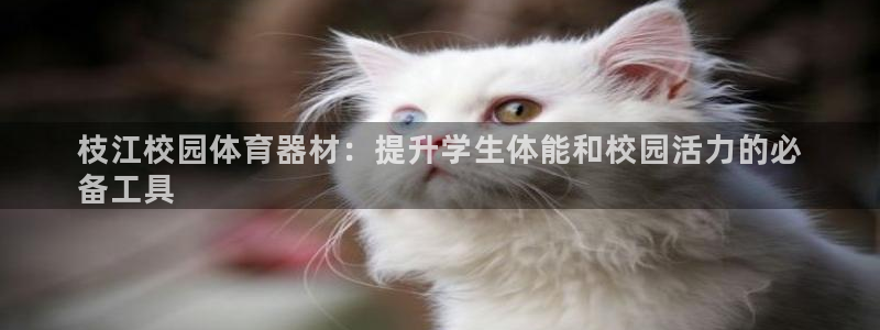 富联娱乐客户端app下载服务器异常怎么回事：枝江校园
