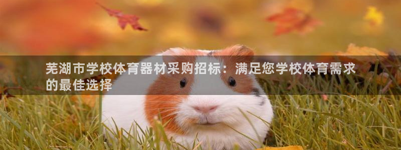 富联娱乐平台是什么平台：芜湖市学校体育器材采购招标：