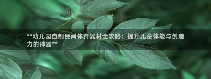 富联娱乐登录注册入口官网网址：**幼儿园自制民间体育