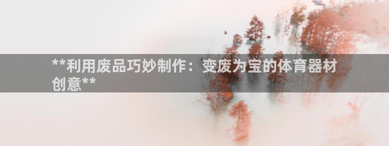 富联娱乐负责人：**利用废品巧妙制作：变废为宝的体育