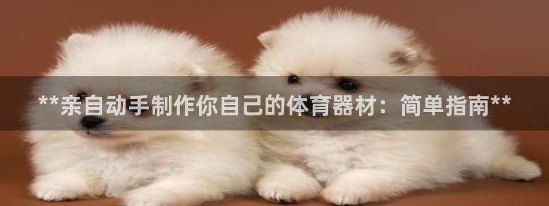 富联平台官网登录入口手机版：**亲自动手制作你自己的体育器材