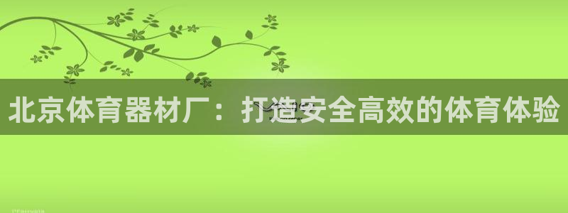 富联商厦：北京体育器材厂：打造安全高效的体育体验