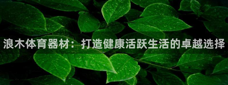 富联平台网站是什么：浪木体育器材：打造健康活跃生活的