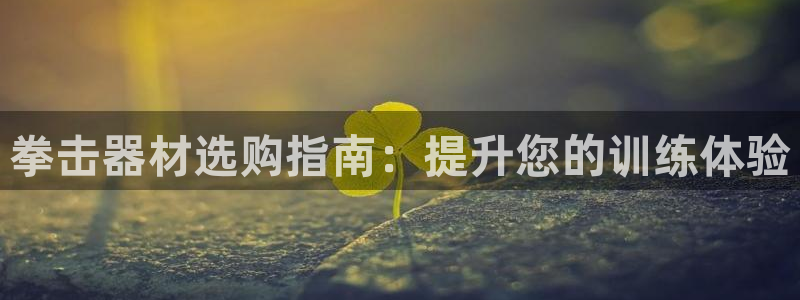 富联平台登录入口官网：拳击器材选购指南：提升您的训练