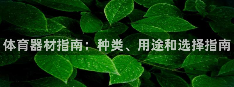 富联平台推 411031 富联：体育器材指南：种类、