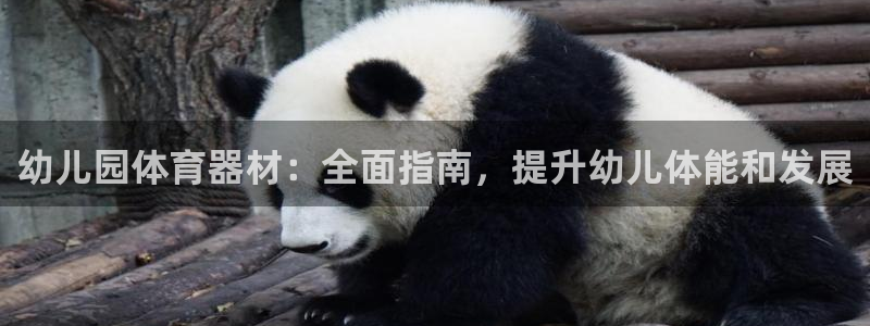 富联娱乐丁6.7.5.1.3.8：幼儿园体育器材：全
