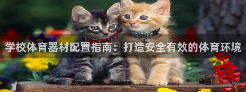 富联娱乐会员多少钱：学校体育器材配置指南：打造安全有