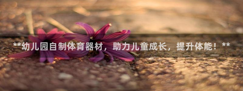 富联官网登录入口网址：**幼儿园自制体育器材，助力儿童成长，
