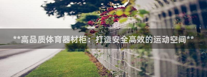 富联平台挂机赚钱：**高品质体育器材柜：打造安全高效
