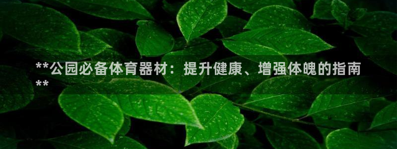 富联平台登录注册账号：**公园必备体育器材：提升健康