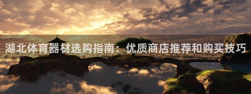 富联官方网站下载安装手机版：湖北体育器材选购指南：优