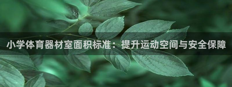富联股份股票怎么样：小学体育器材室面积标准：提升运动空间与安