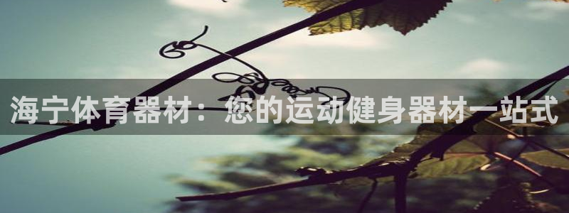 富联娱乐向 5o69I7：海宁体育器材：您的运动健身器材一站