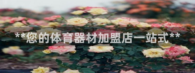 富联平台半7O777：**您的体育器材加盟店一站式*