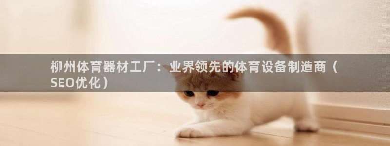 富联平台登入：柳州体育器材工厂：业界领先的体育设备制