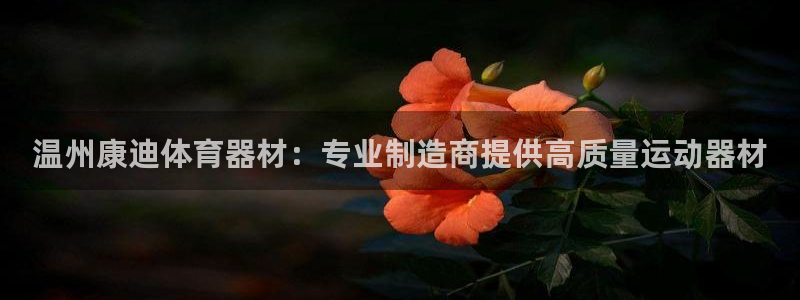 富联股份股价：温州康迪体育器材：专业制造商提供高质量