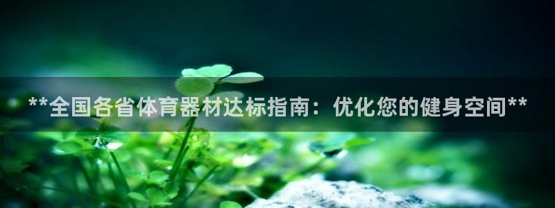 富联工坊：**全国各省体育器材达标指南：优化您的健身空间**