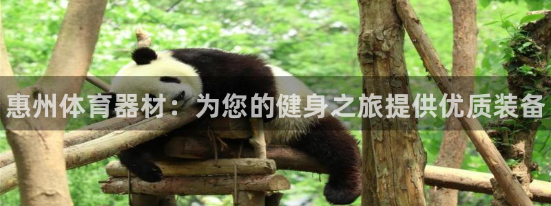 富联股份股价：惠州体育器材：为您的健身之旅提供优质装备