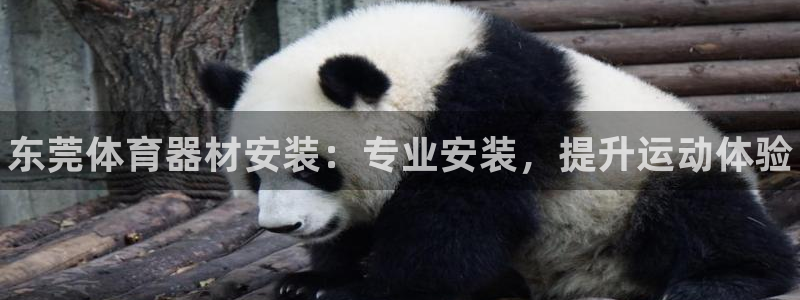 富联娱乐叩 411O31 富联：东莞体育器材安装：专