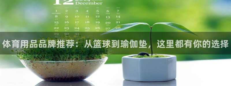 富联科技上市了吗最近：体育用品品牌推荐：从篮球到瑜伽垫，这里