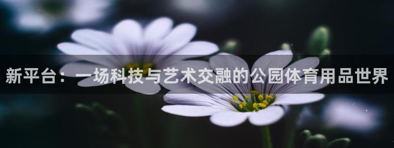 富联娱乐是资金盘吗：新平台：一场科技与艺术交融的公园