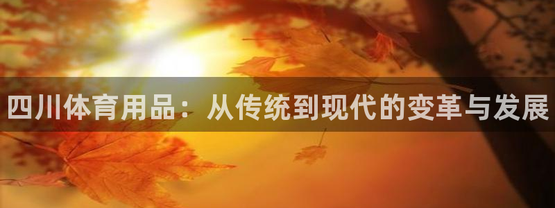 富联平台注册登录入口：四川体育用品：从传统到现代的变